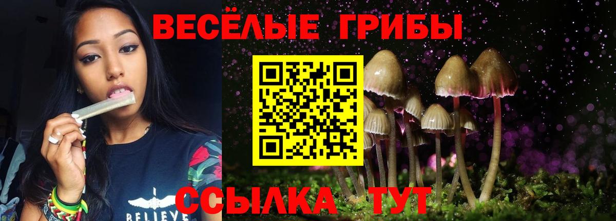 Псилоцибиновые грибы Psilocybine cubensis Кувандык