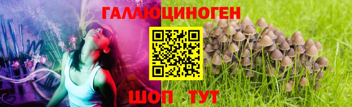 Галлюциногенные грибы мицелий  Вход с VPN  купить  цена  Галлюциногенные грибы GOLDEN TEACHER  Кувандык 