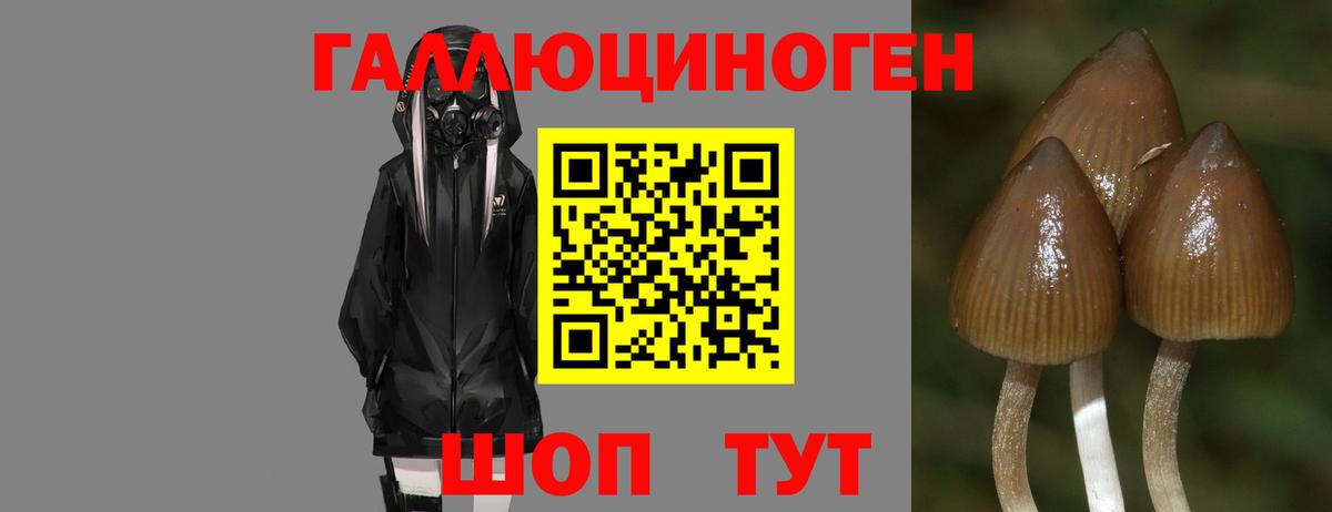 A-PVP Кувандык